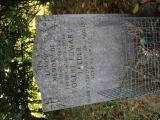 image of grave number 904068